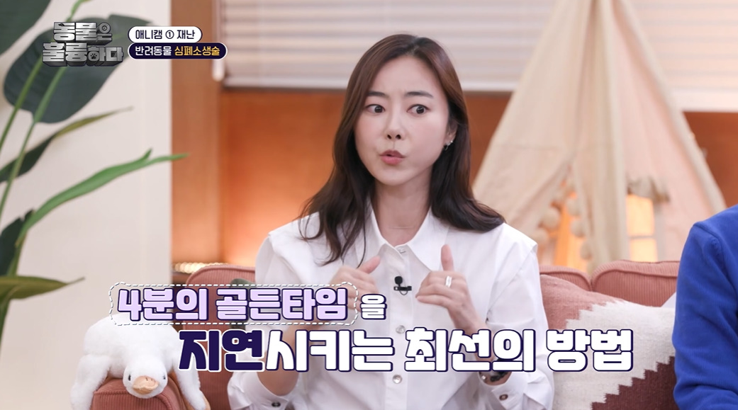 반려인들은 알아두면 좋을 만한 정보들...jpg | 인스티즈