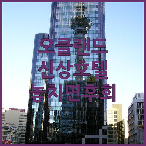 2024년 오픈 오클랜드 신상 호텔 