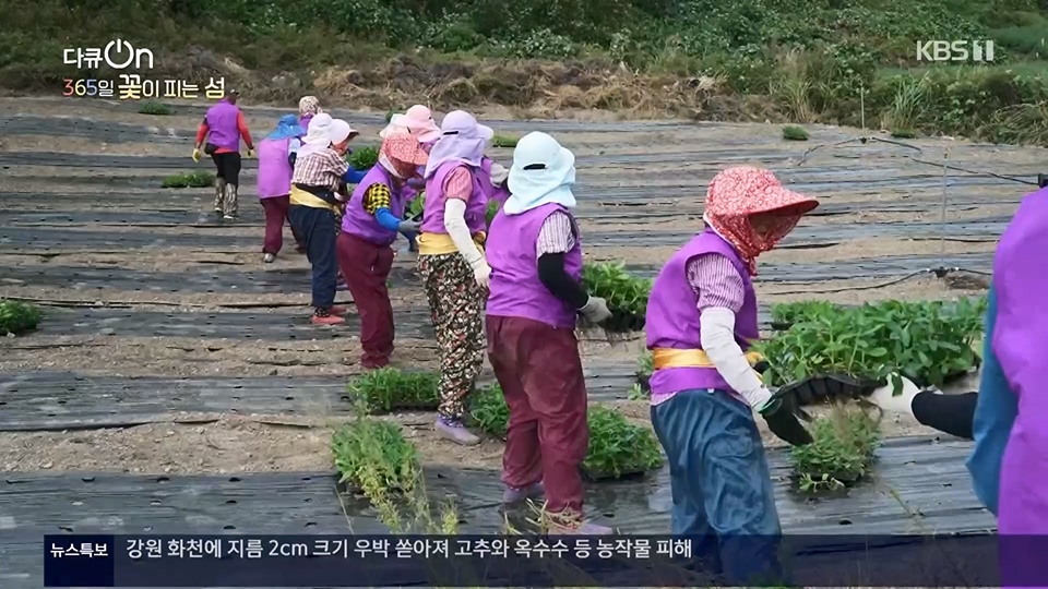 다큐 On.E201.230610p.H264-F1RST.mp4_20230611_165951.597.jpg