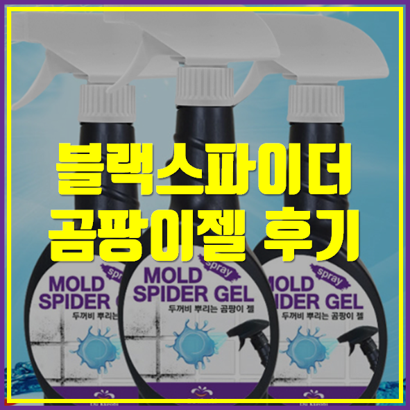  블랙스파이더 곰팡이젤 후기
