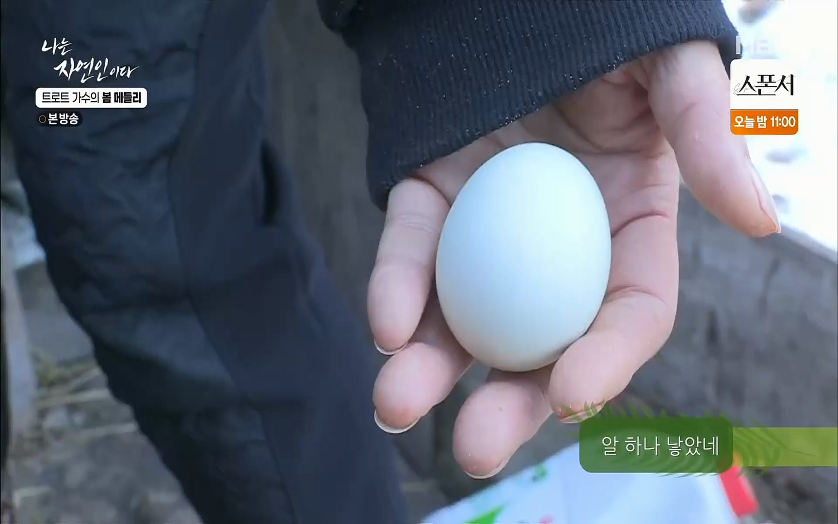 나는 자연인이다.E494.220323p.H264-F1RST.mp4_20220324_183910.803.jpg