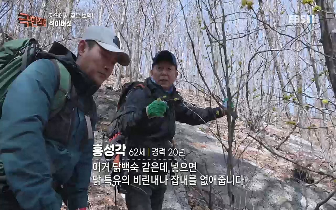 TV - 교육의 중심 EBS자연에서 찾은 보약! 석이버섯, 호장근, 백하수오.mp4_20220518_185530.963.jpg
