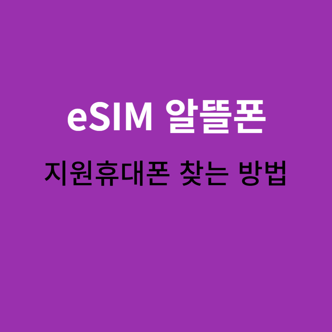 eSIM 알뜰폰 지원 휴대폰 확인방법