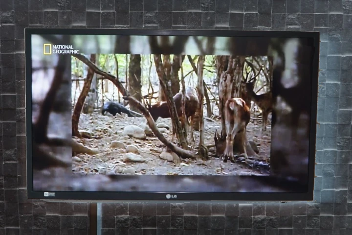 LG TV 내셔널지오그래픽 채널