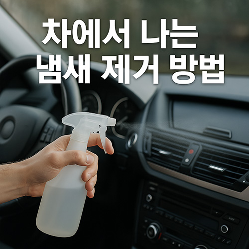 차에서-나는-냄새-제거-방법
