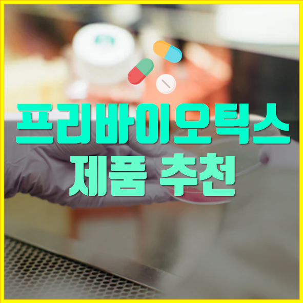  프리바이오틱스 제품 추천