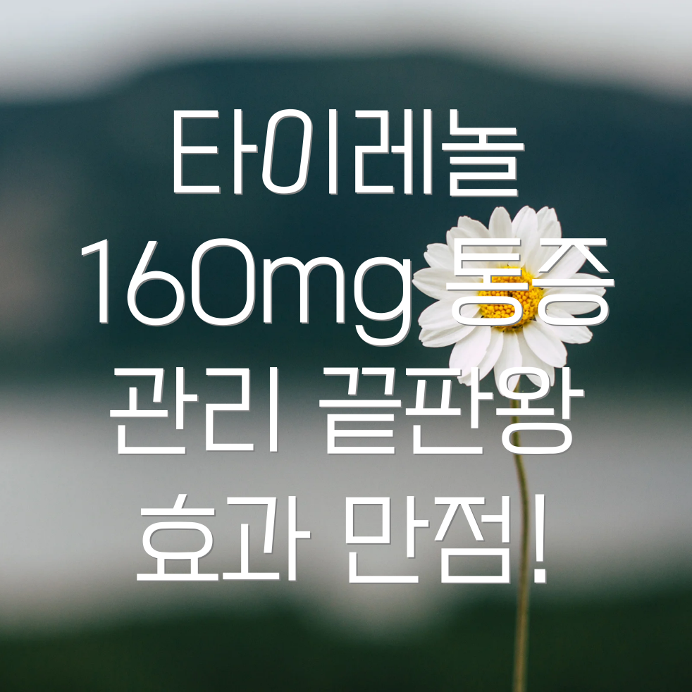 타이레놀 160mg