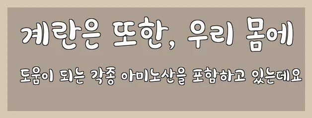  계란은 또한, 우리 몸에 도움이 되는 각종 아미노산을 포함하고 있는데요