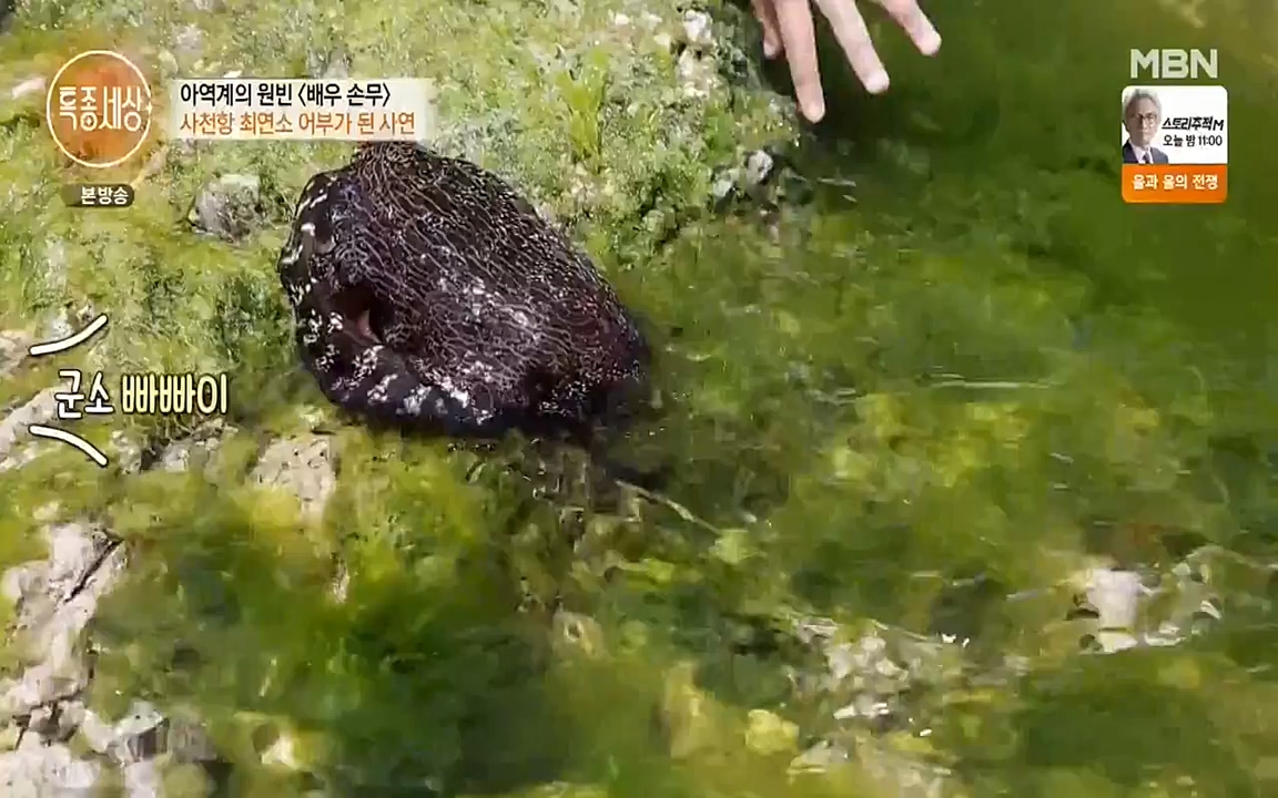 현장르포 특종세상.E530.220513p-NEXT.mp4_20220514_184541.510.jpg
