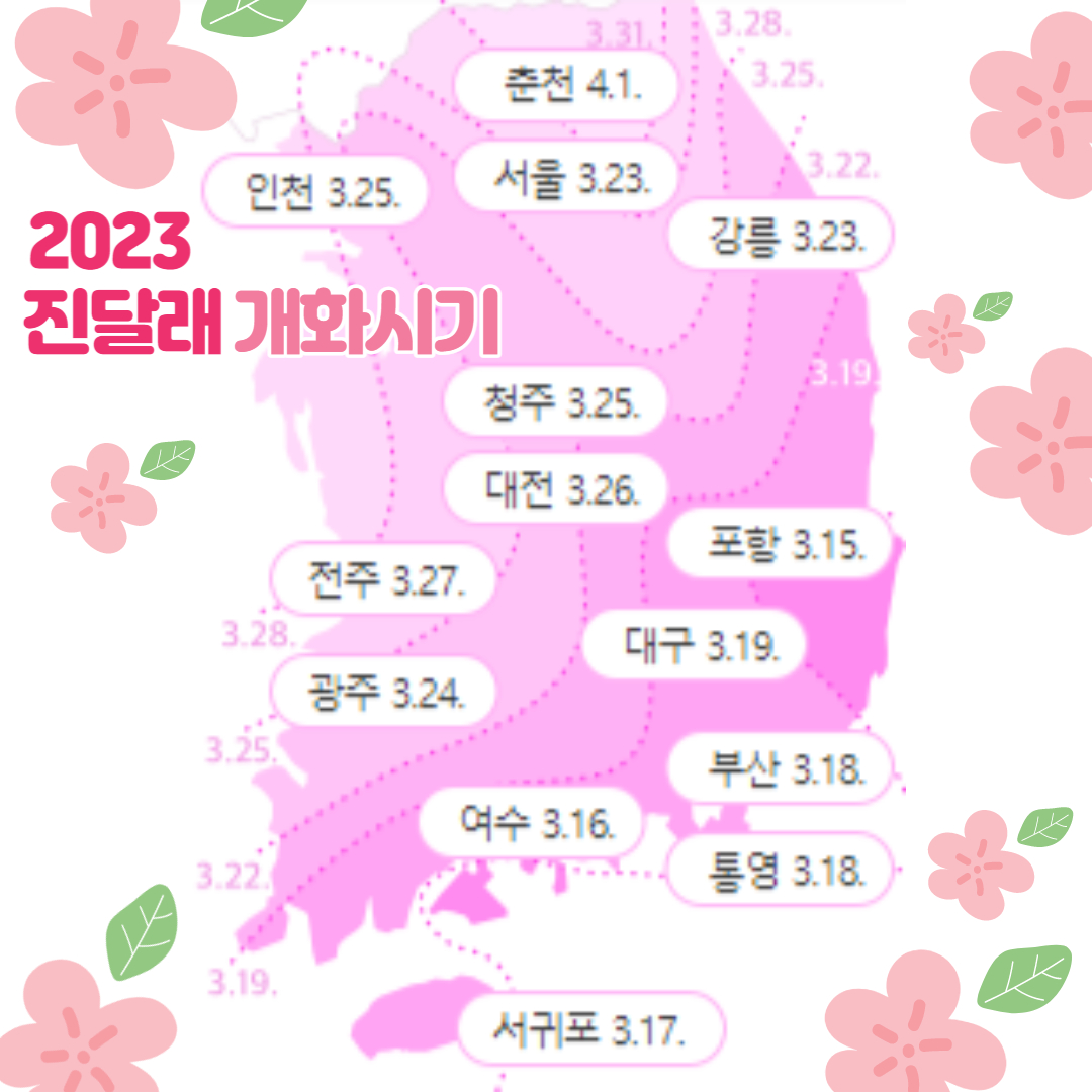 2023-진달래개화시기-진달래명소