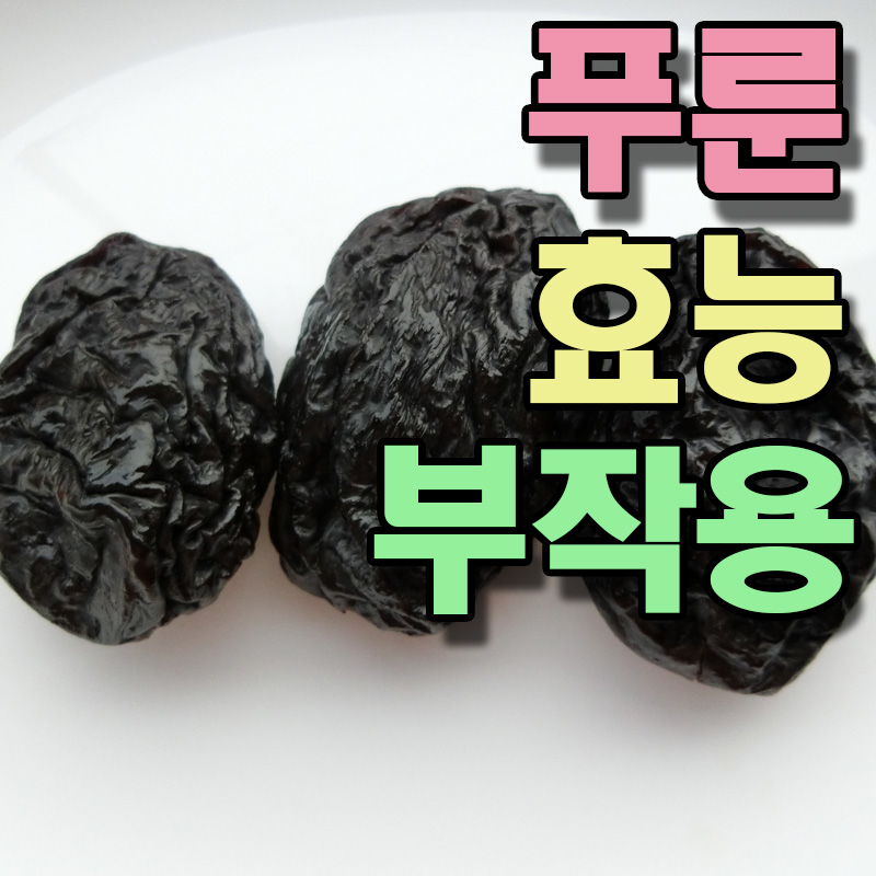  푸룬 건자두 효능 부작용
