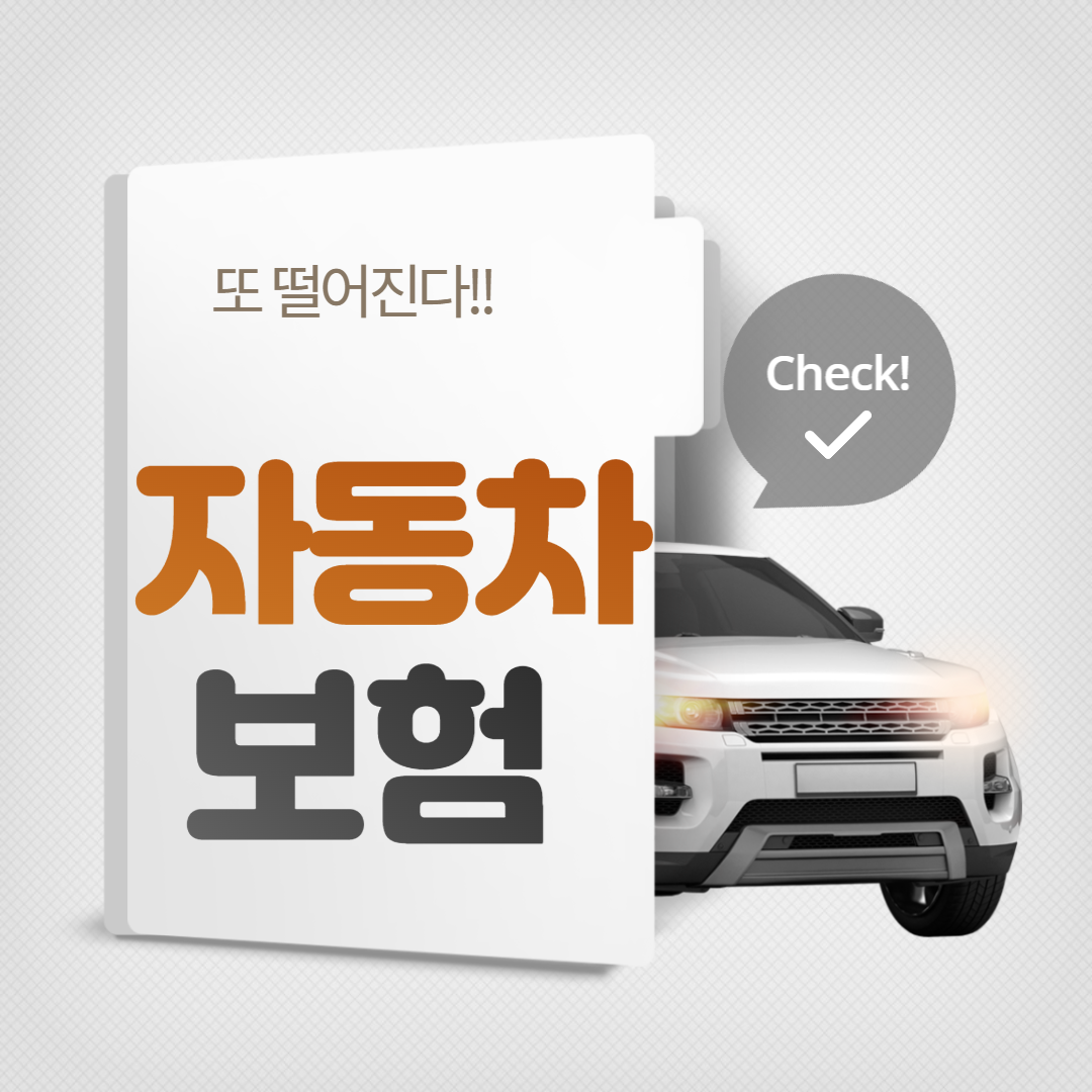  자동차 보험료 지금 다시 확인해보세요!
