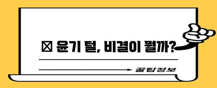 강아지 목욕 브러쉬 부드럽고 깨끗한 털 관리에 꼭 필요하죠!