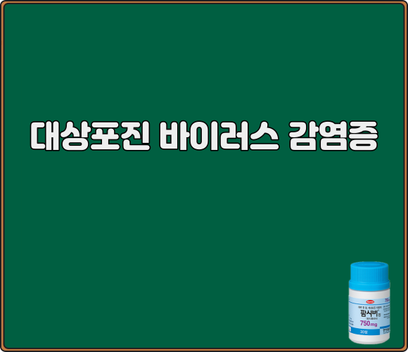 팜시버정_750mg_효능