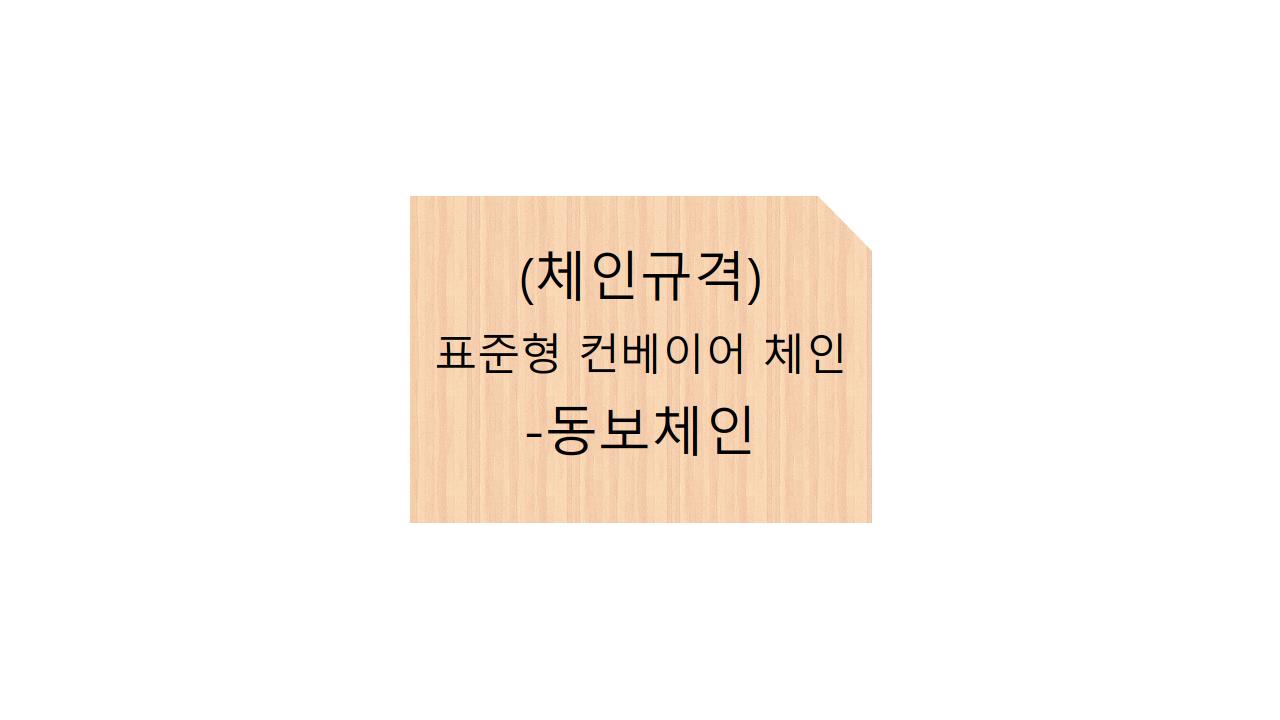  (체인규격)표준형 컨베이어 체인 - 동보체인