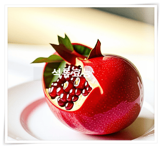 석류 6