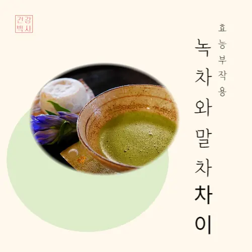 녹차와말차차이