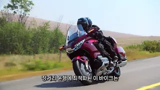 라이트바겐 공식 유튜브