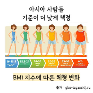 BMI-지수-계산법