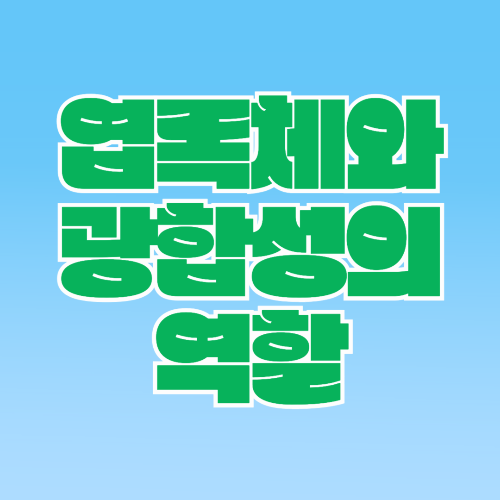 엽록체 역할