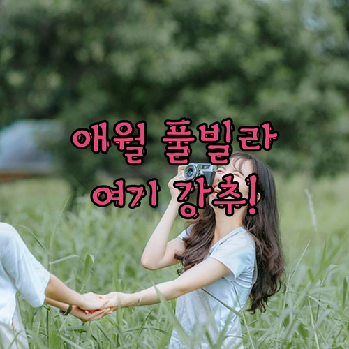 제주 애월 풀빌라 여기 강추! 개별 