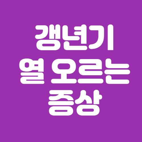  갱년기 열 오르는증상