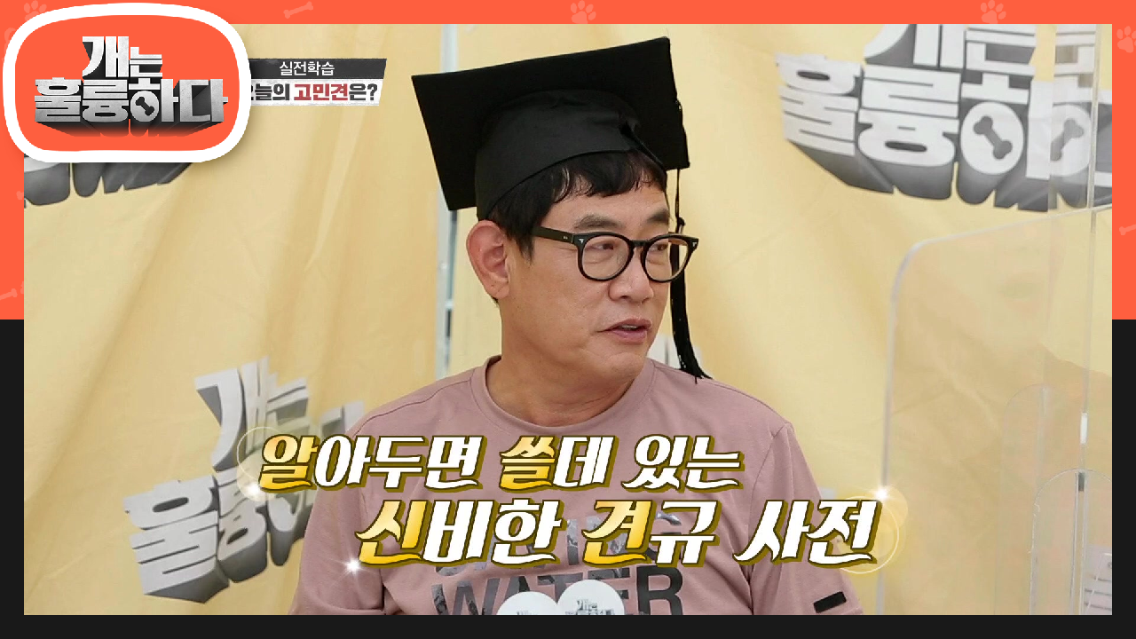  개는 훌륭하다 49회 다시보기 / 예능 / 재방송 / 시청률 / 줄거리 / 이경규 / 장도연 / 로키 / 시져