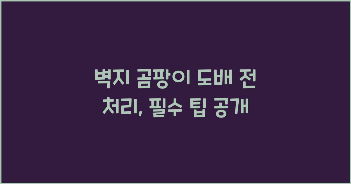 벽지 곰팡이 도배 전 처리