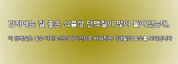  감자에는 질 좋은 식물성 단백질이 많이 들어있는데, 이 단백질은 필수 아미노산인 라이신으로 바꿔지는 미네랄의 흡수를 도와줍니다