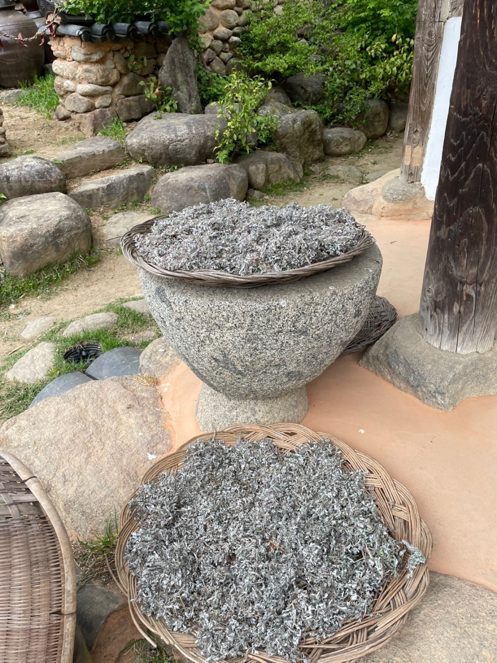 윤스테이 촬영 (구례카페/구례여행) 윤스테이 촬영장소, 17