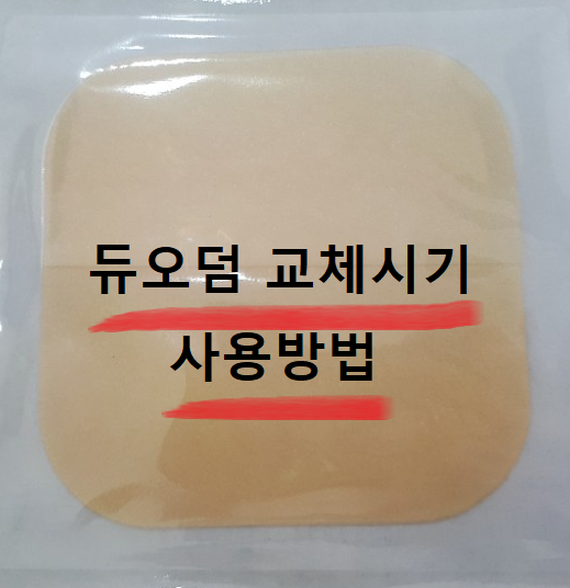  듀오덤 교체시기 사용방법 알아보기