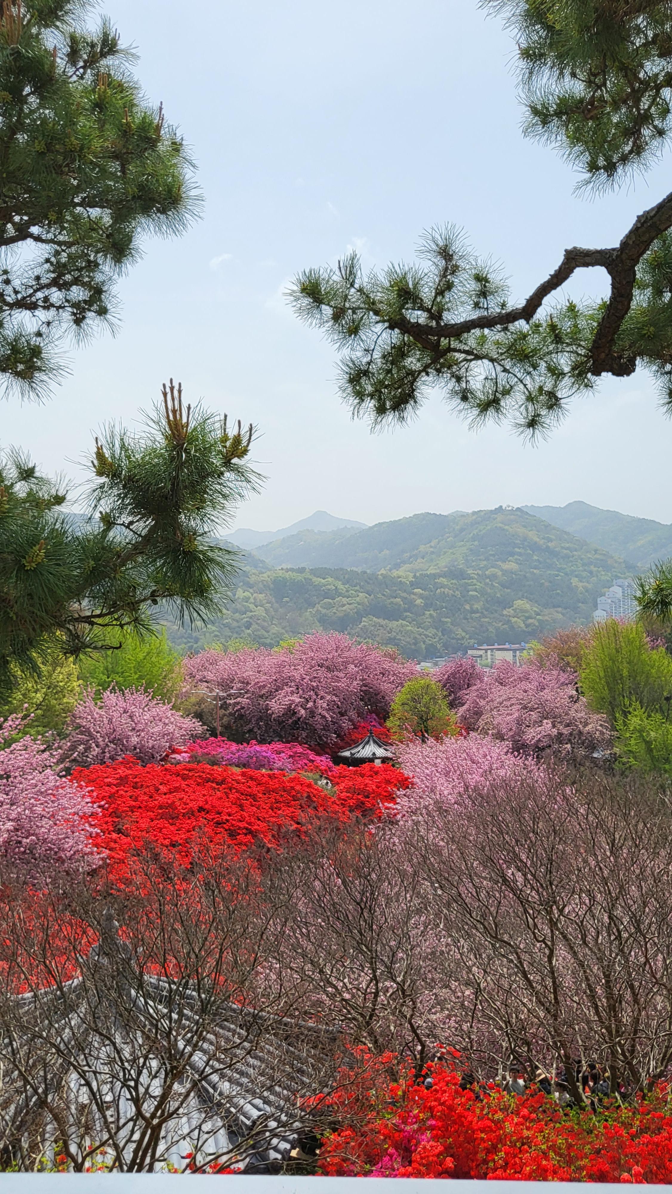 꽃동산 산책로