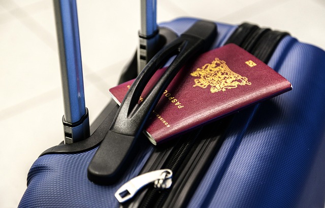 공항 여권사진