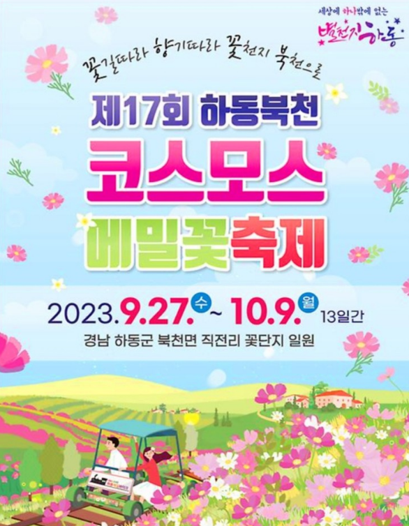  하동 북천 코스모스 메밀꽃 축제 입장료 등 총정리!