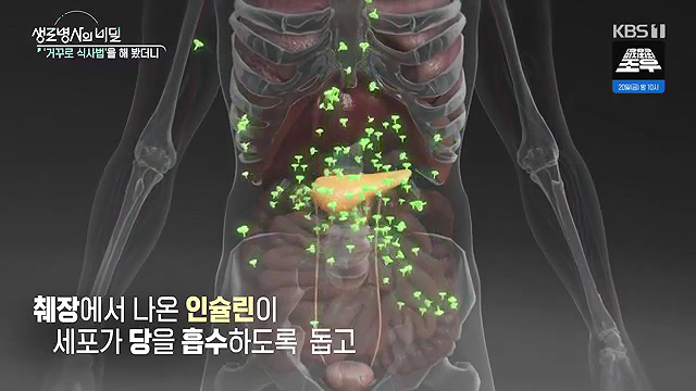 생로병사의 비밀 - 거꾸로 식사법 해봤더니_9_11.mp4_20240912_202340.001.jpg