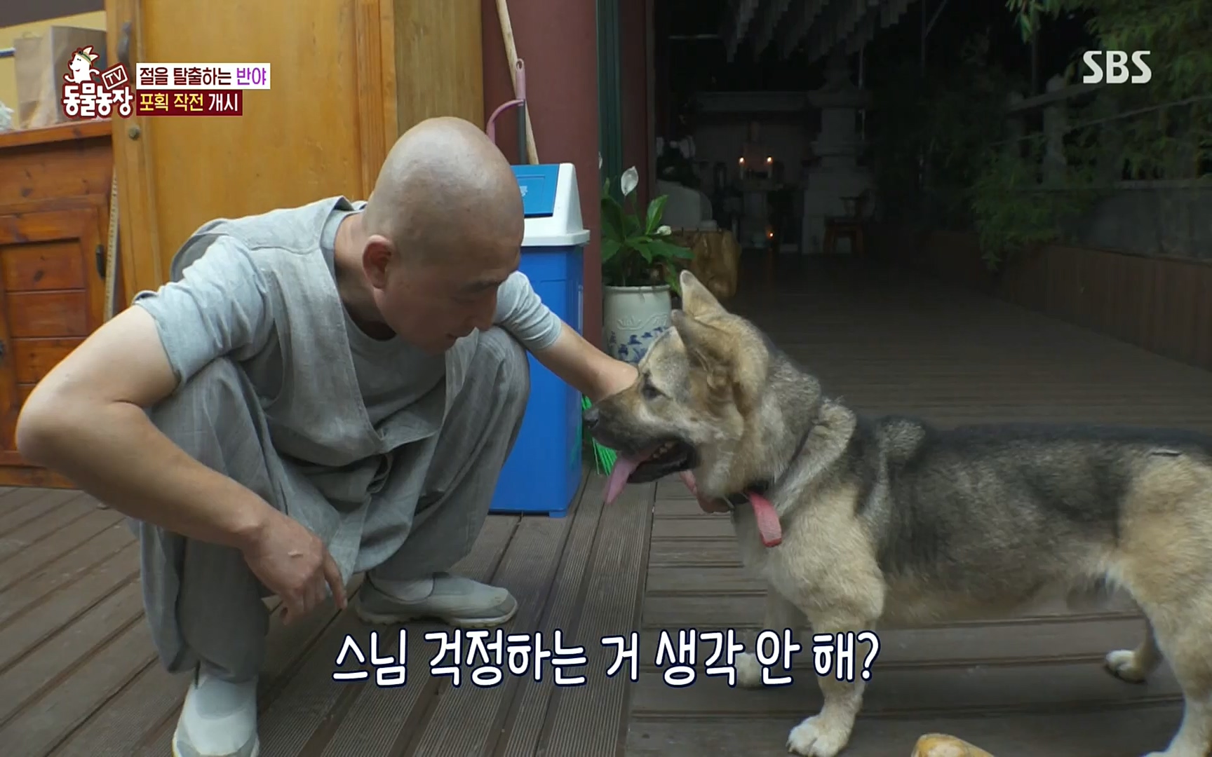 TV 동물농장.E1083.220821p.H264-F1RST.mp4_20220821_183707.235.jpg