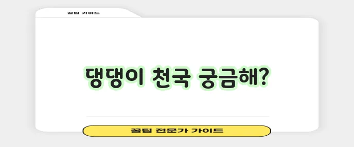다니맘이 소개하는 루프탑 애견운동장 맛집 애견카페는 어떠세요?