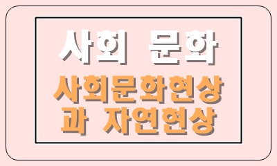  사회 문화 현상과 자연 현상의 의미와 특징 구분