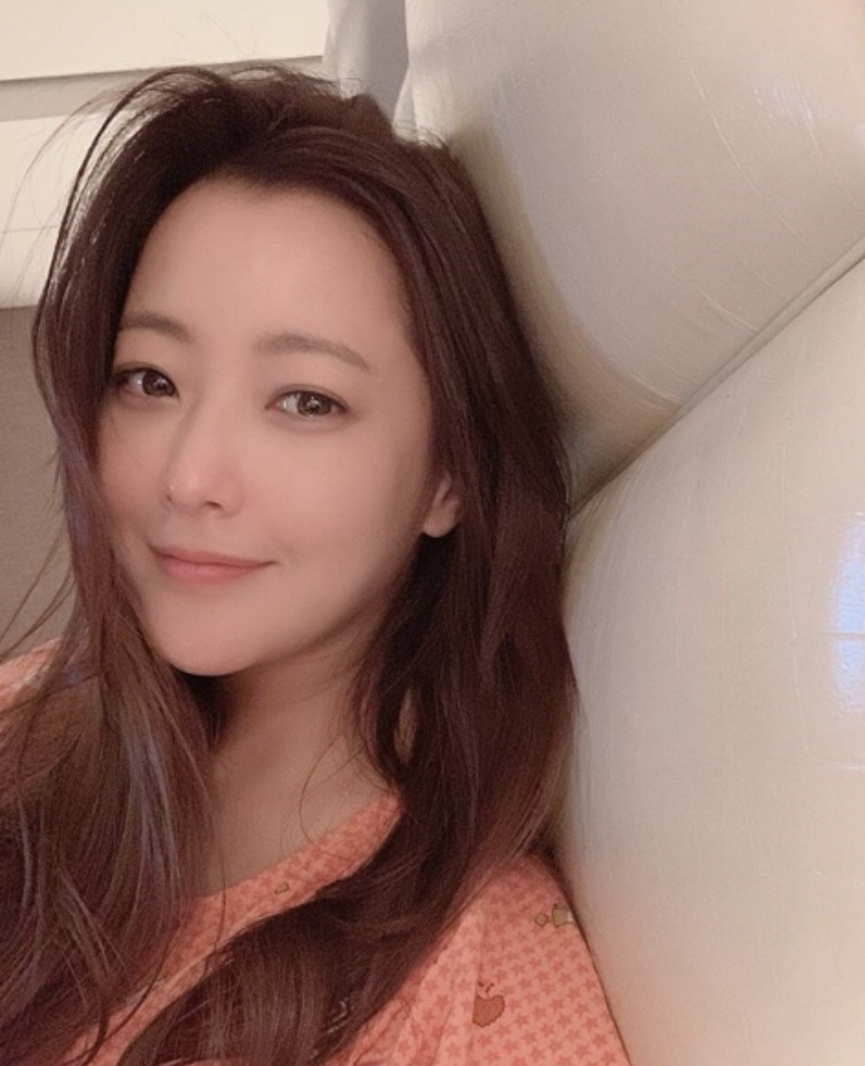  김희선 남편 직업 집안 재벌설