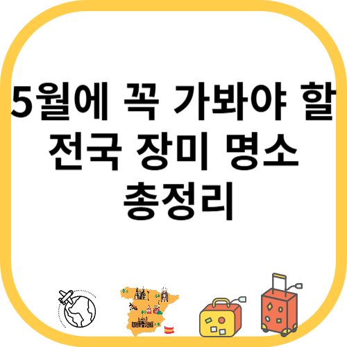 5월에 꼭 가봐야 할 전국 장미 명소 총정리