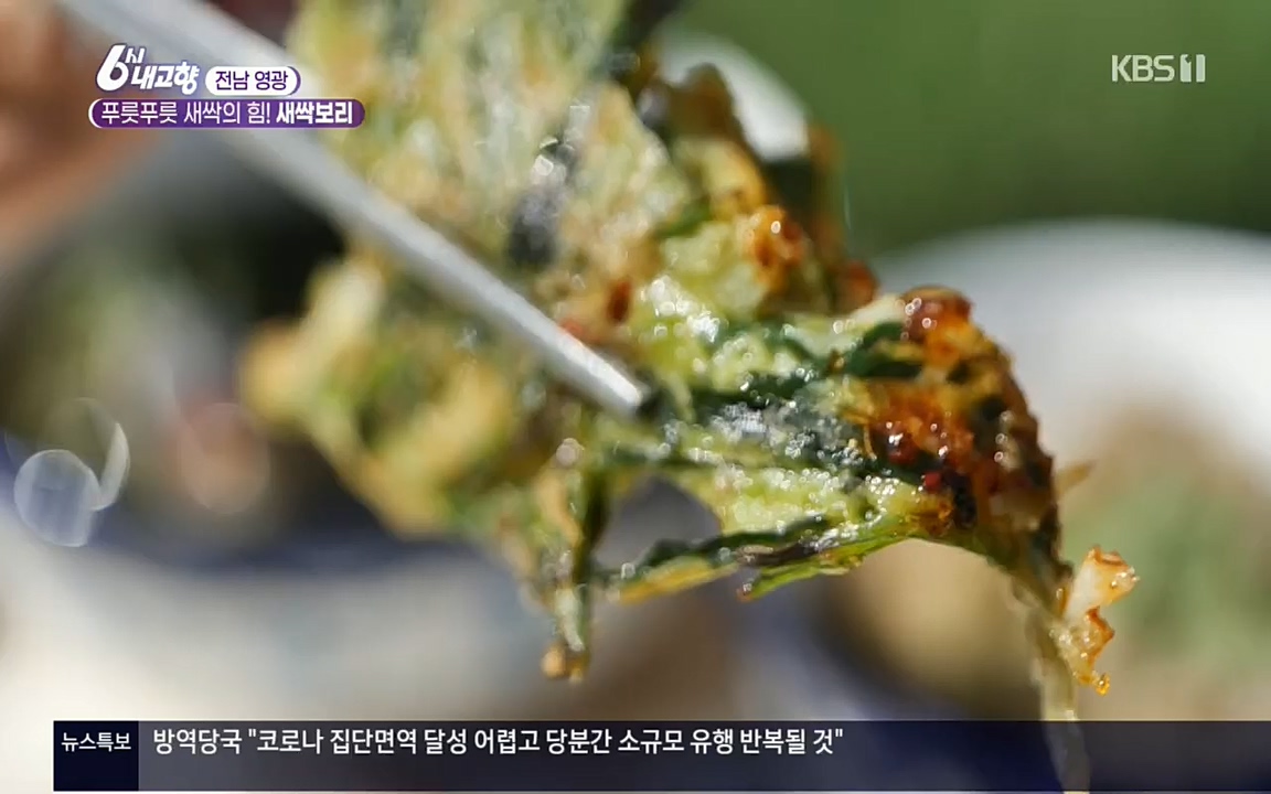 6시 내고향.E7510.220414p.H264-F1RST.mp4_20220419_185738.122.jpg