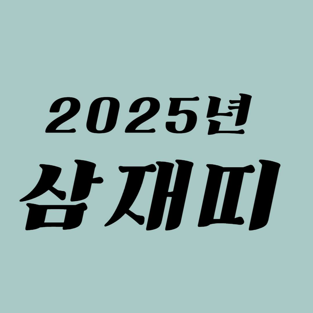 2025년 삼재띠