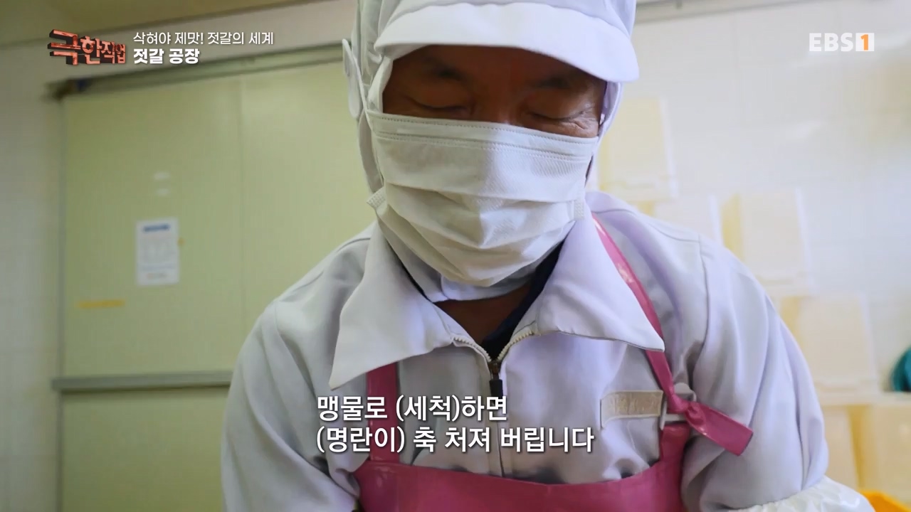 TV - 전 국민의 평생학교 EBS삭혀야 제맛! 젓갈의 세계.mp4_20231125_190849.253.jpg