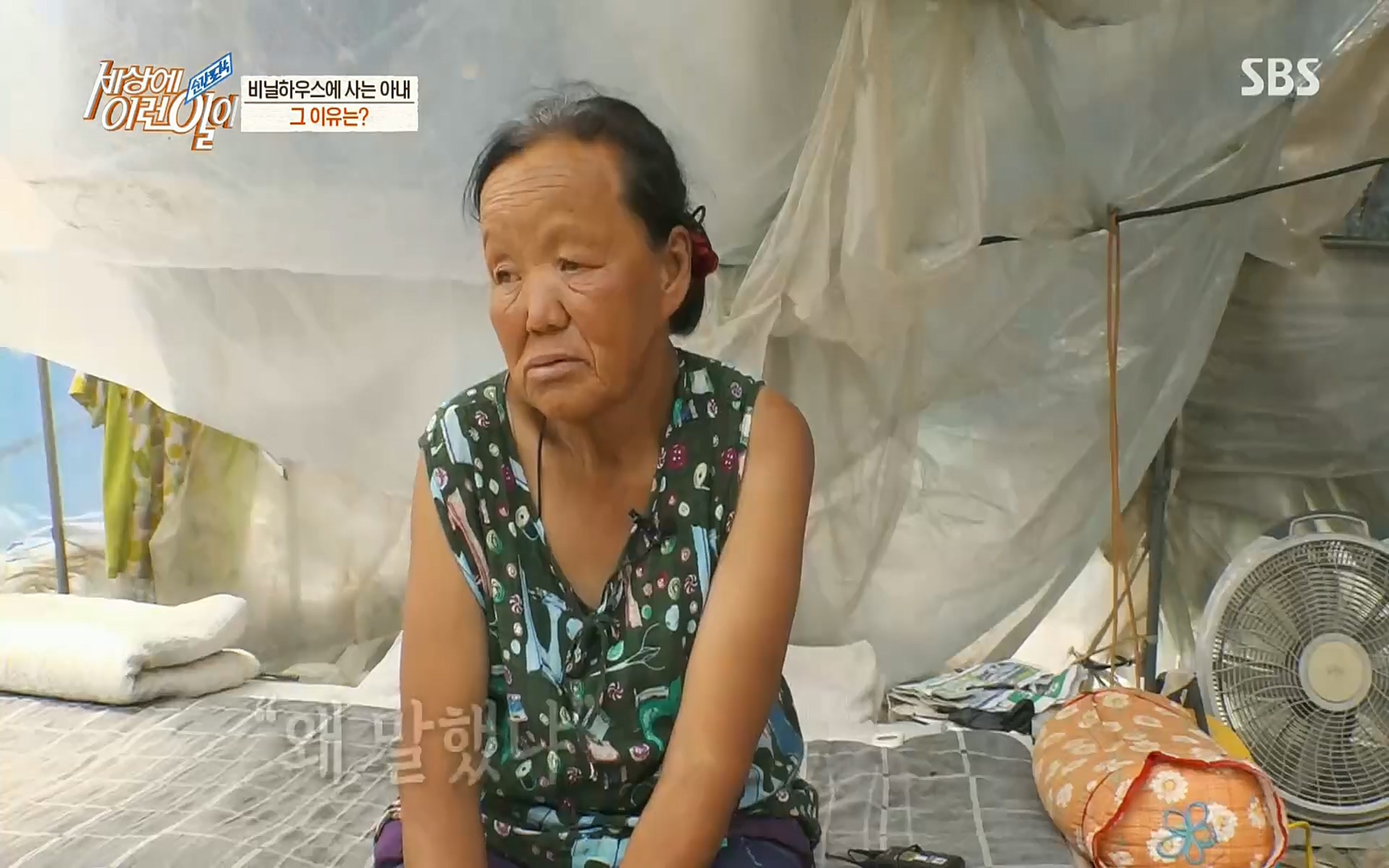 순간포착 세상에 이런일이.E1186.220628p.H264-F1RST.mp4_20220629_201014.370.jpg