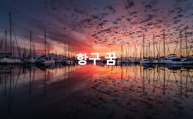  항구가 나오는 꿈의 상황별 꿈해몽