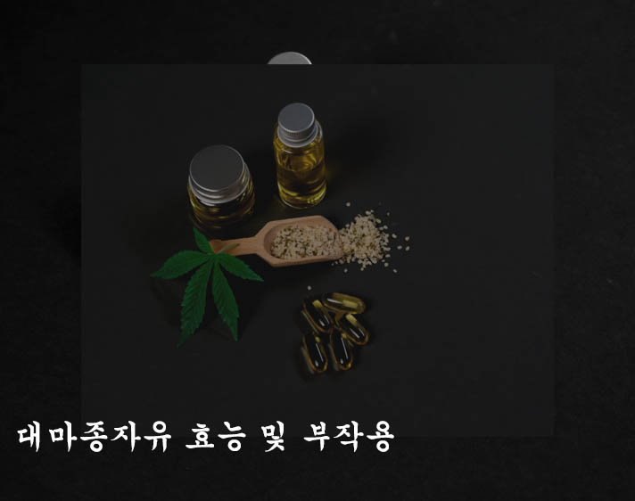  대마종자유 효능 및 부작용, 먹는 방법, 고르는법, 오메가3와의 차이-알아두면 좋아요