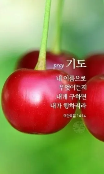 따뜻한 성경 인사말 교회 인사말 모음_14