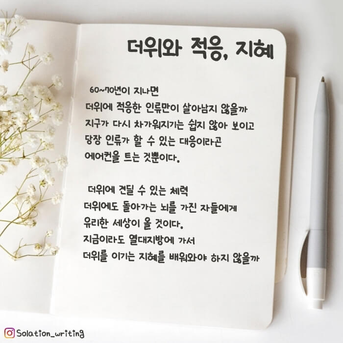 짧은 생각-더위와 적응, 지혜