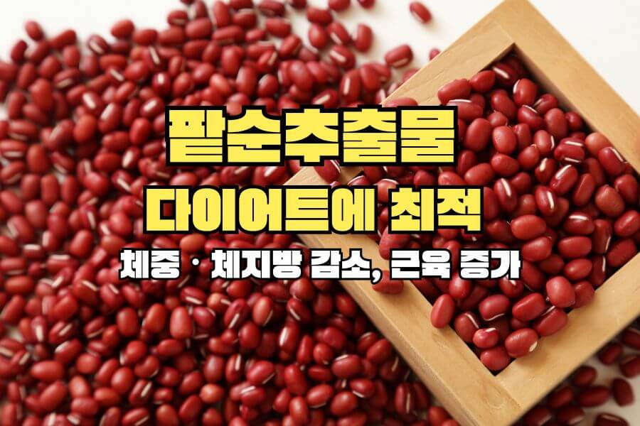 팥물 다이어트, 차원이 다른 효과!