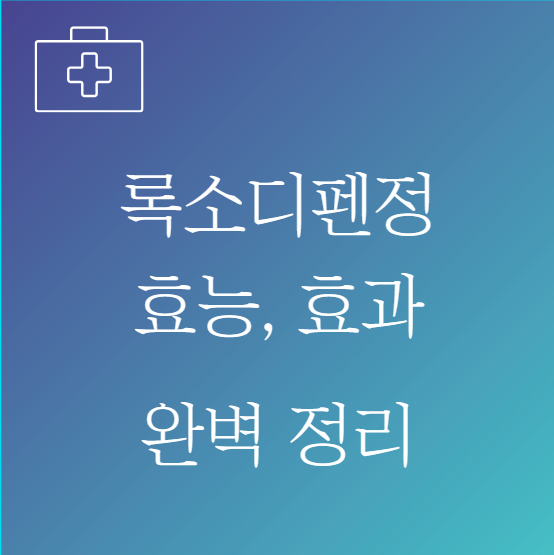 록소디펜정